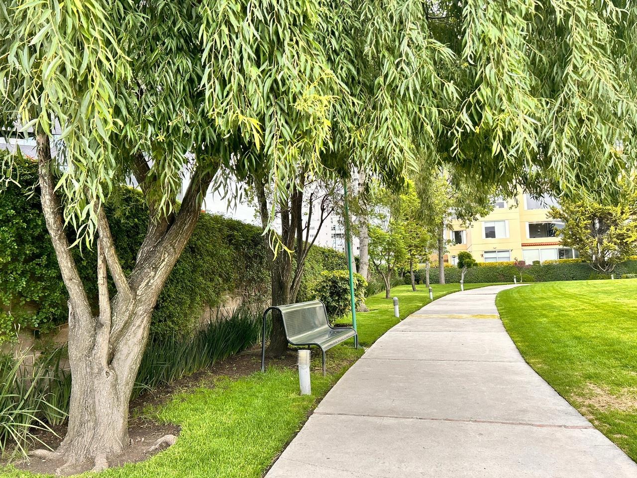 Jardines del desarrollo · REAL DE LA CUMBRE Bosque Real · 251 m²