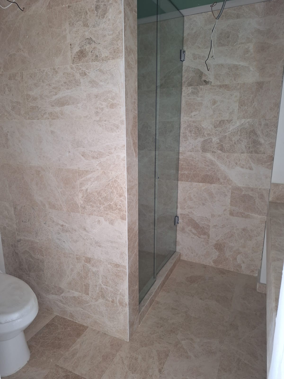 Regadera y sanitario · AVIVIA Bosque Real · Obra blanca