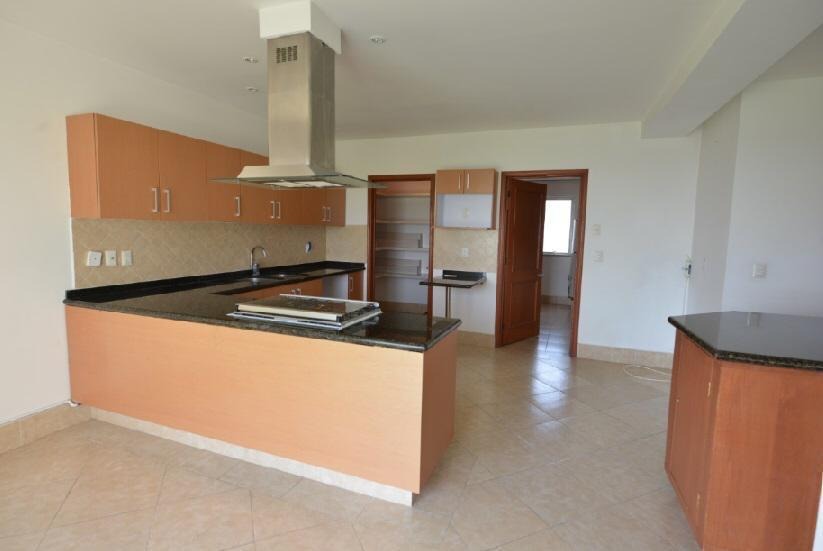 Cocina y área de servicio · PALMETTO 39 Bosque Real · 220 m²