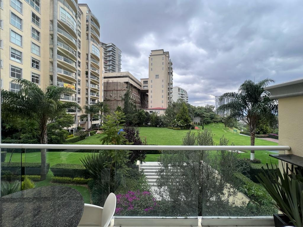 PALMETTO 30–32 Bosque Real · 220 m²